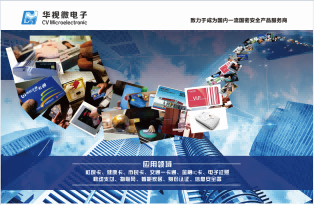 華視微電子 華視微電子